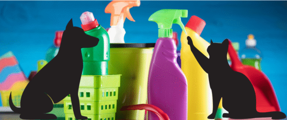 Cleaning Supplies